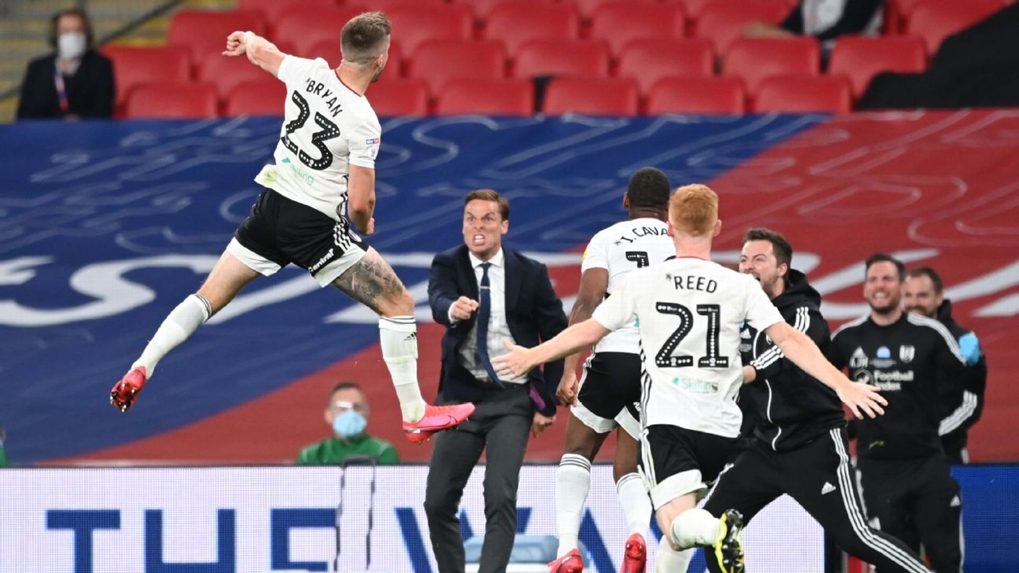 不幸遭遇蜂 不幸遭遇蜂